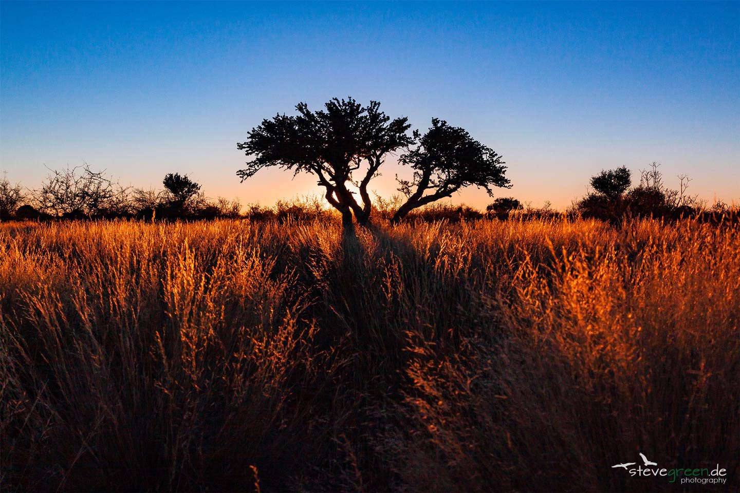 Namibia - Kalahari