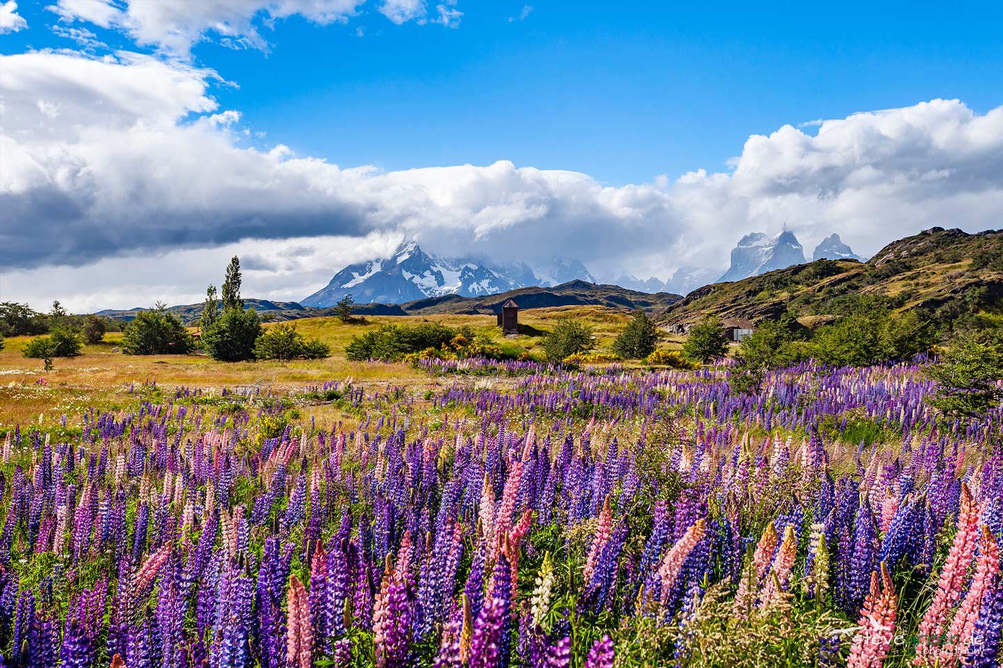 Chile - Nationalpark - Torres del Paine
